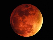 Blood Moon the symbol of corruption in the Priesthood of Believers. And we thought the devil would not deceive the very elect?