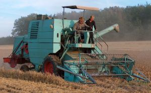 Farmer's have two seasons: Before Harvest and After Harvest. However, they never do harvest by themselves, it takes more than combine to move the grain to market.